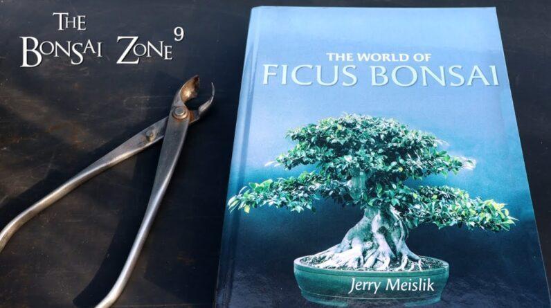 Ficus Friday, Book Review and Tool Restoration, The Bonsai Zone, Jan 2022