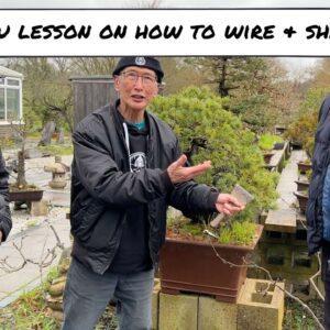 Impromtu session on how to wire & Shape a pine