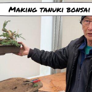 Making Tanuki Bonsai   for a YouTube fan