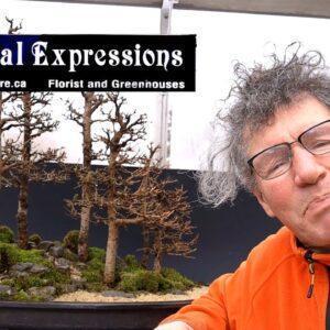 Tropical Expressions, Bonsai Workshops Announcement!