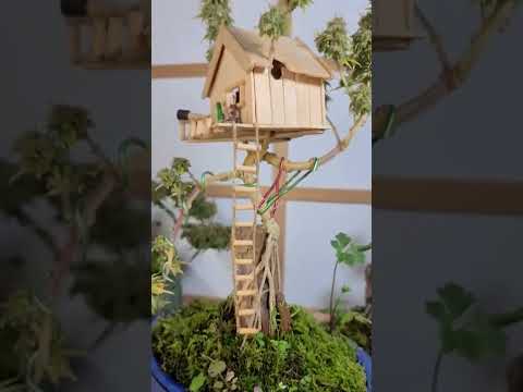 Cannabonsai Treehouse