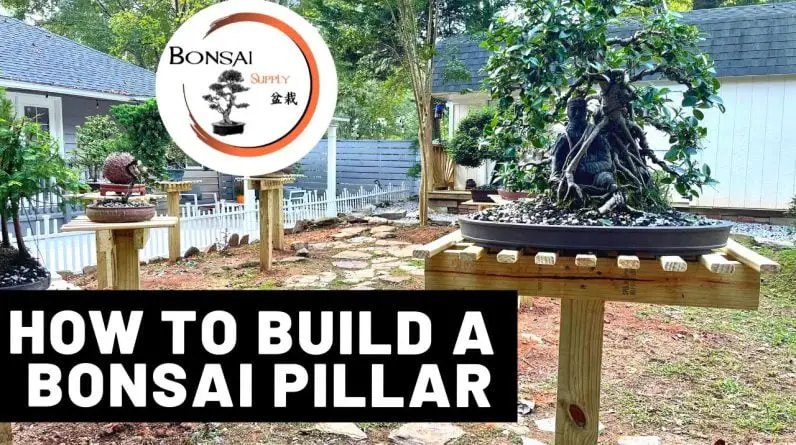 How to Build a Bonsai Pillar/ stand | The Bonsai Supply