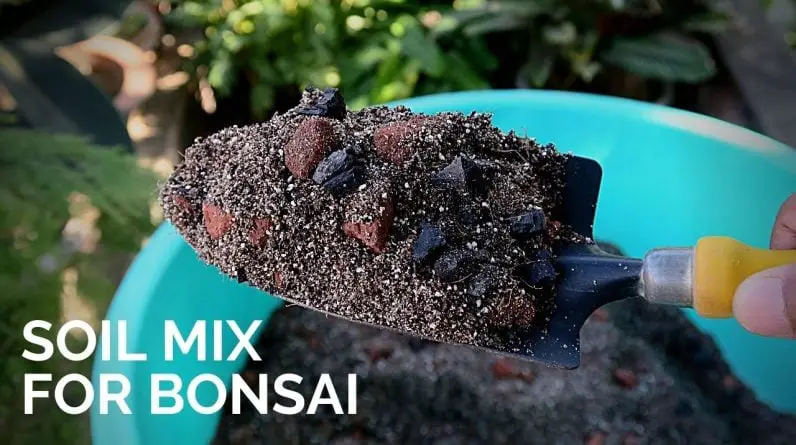 Soil mix for Bonsai || Easy soil preparation for Bonsai || Bonsai substrate mix