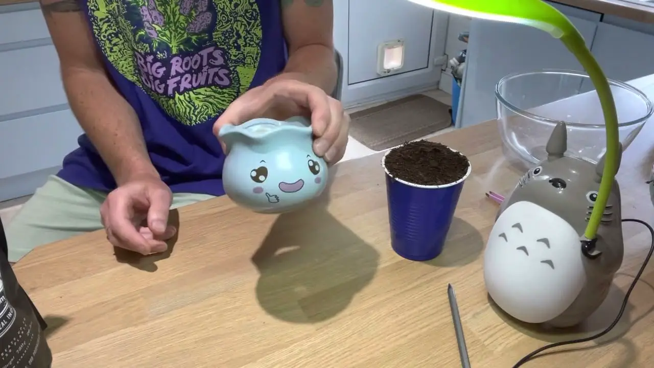 Toto’s Cannabonsai Show Episode 84.  Germination and potting.  Mars Hydro FC3000 - discount codes