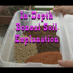 What Goes in Bonsai Soil?