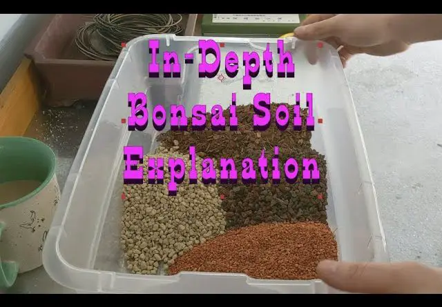 What Goes in Bonsai Soil?