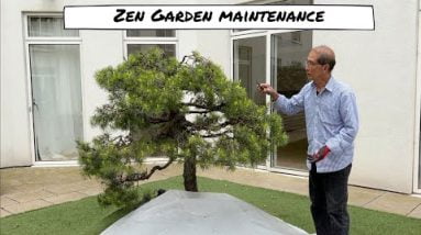 Zen Garden Maintenance