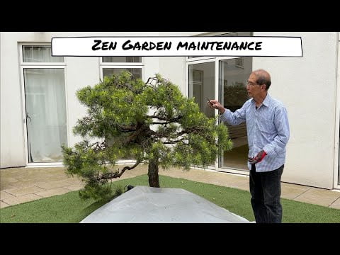 Zen Garden Maintenance