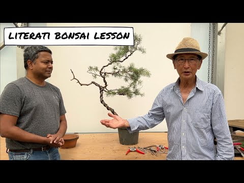 Literati Bonsai Lesson