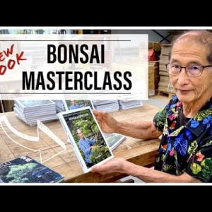NEW BOOK OUT: Bonsai Masterclass (limited edition)