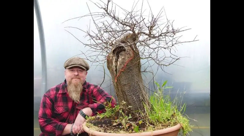 Graham Potter Does Bonsai Work - Prunus