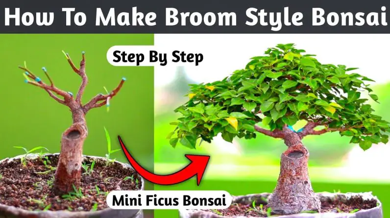 How To Make Mini Broom Style Bonsai