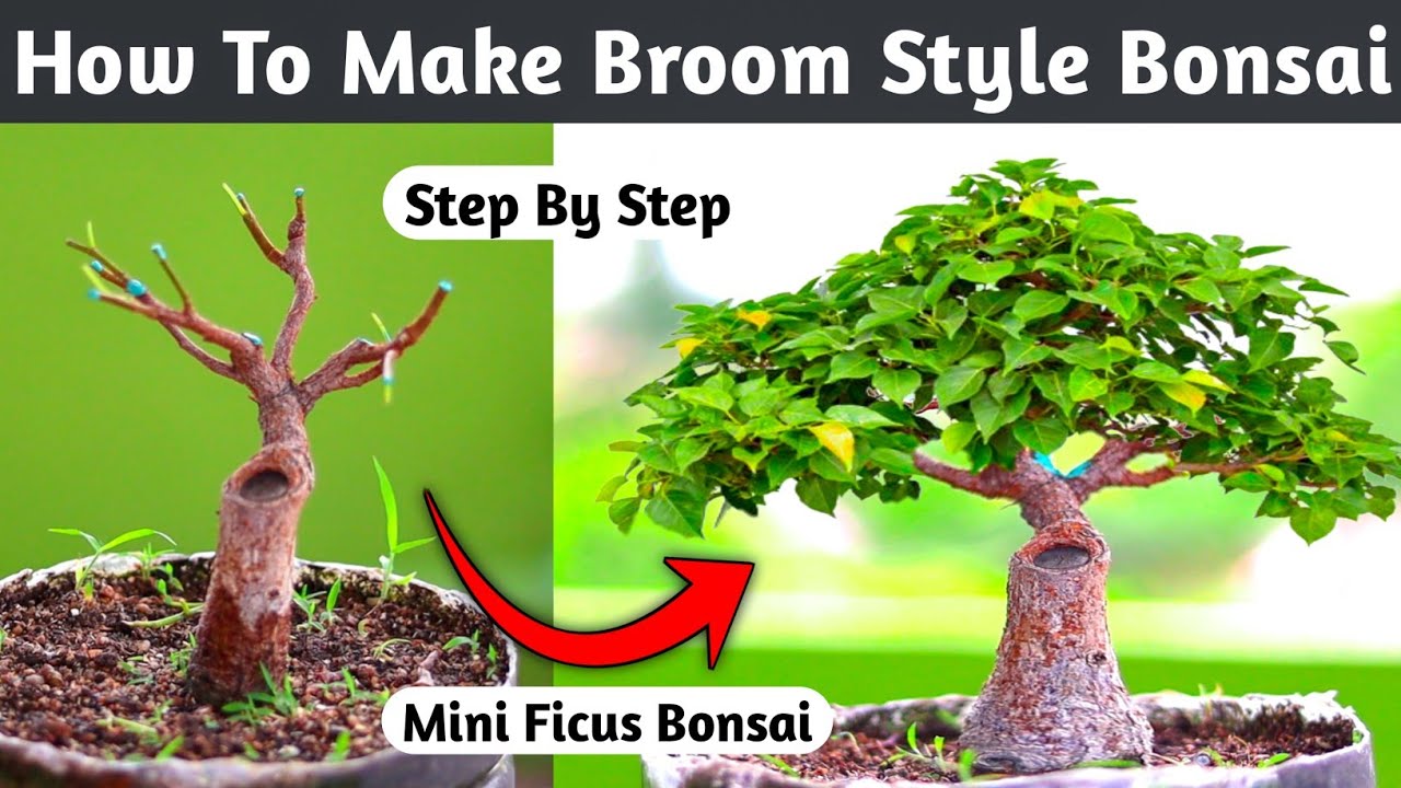 How To Make Mini Broom Style Bonsai