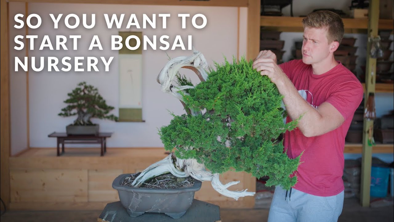 So You Want to Start a Bonsai Nursery | 6 Steps to Establishing Your Own Garden