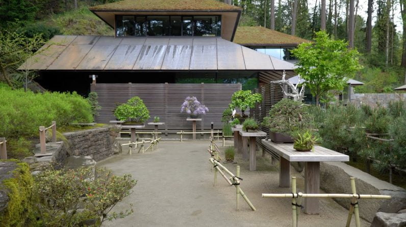 Bonsai at the Portland Japanese Garden