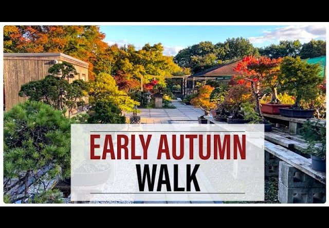 Early Autumn Walk