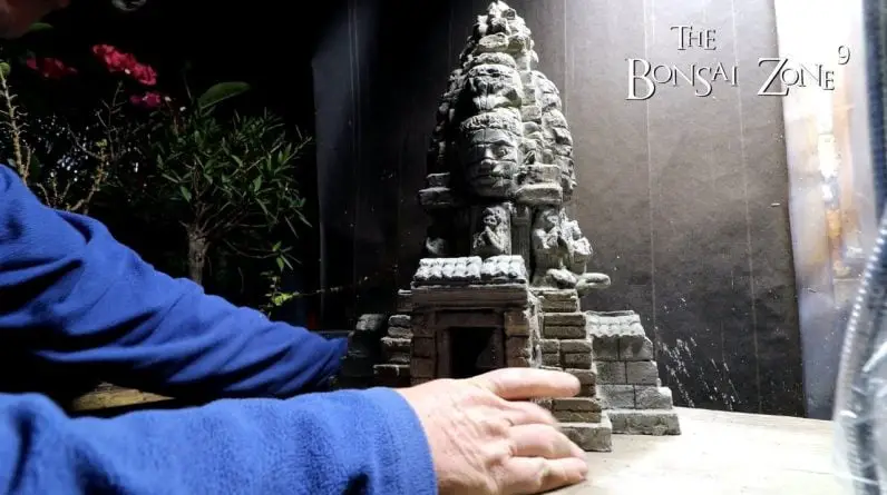 My Ta Prohm Temple, Day 7, The Bonsai Zone, Nov 2022 My Ta Prohm Temple, Day 7, The Bonsai Zone, Nov 2022