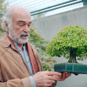 The Definition of Suave | The Bonsai Museum of Luis Vallejo