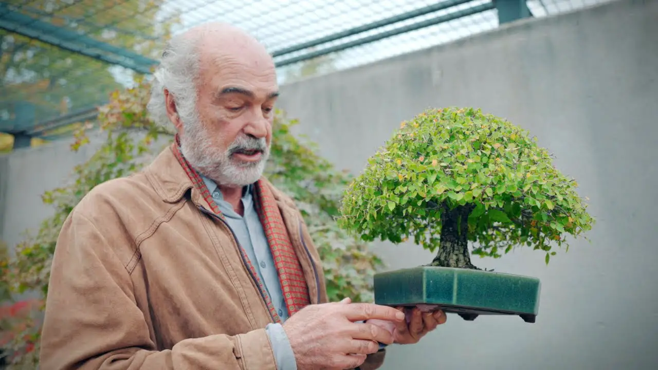 The Definition of Suave | The Bonsai Museum of Luis Vallejo