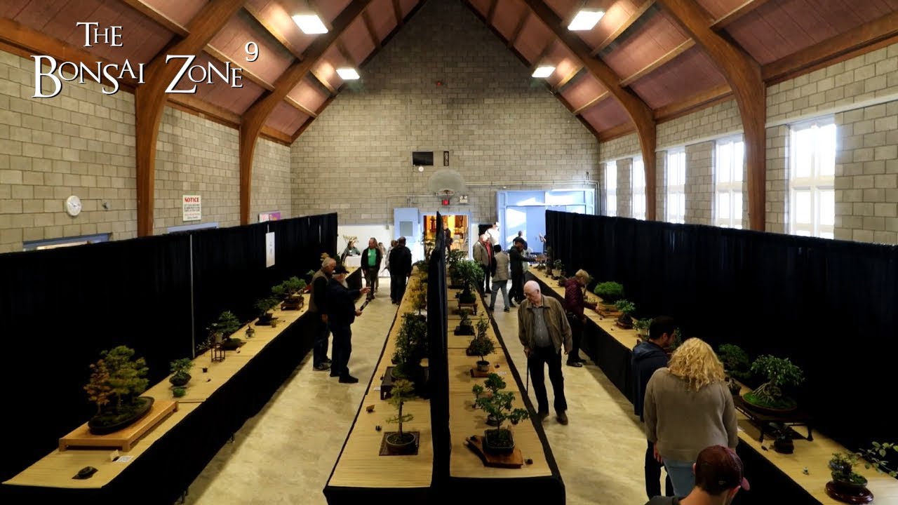 The KW Bonsai Society's Fall Show, The Bonsai Zone, Oct 2022