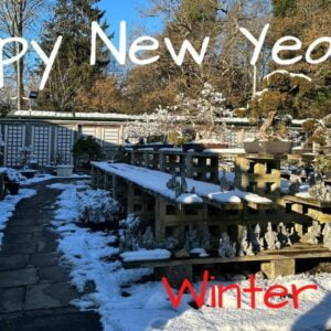 Happy New Year - Winter Wonderland