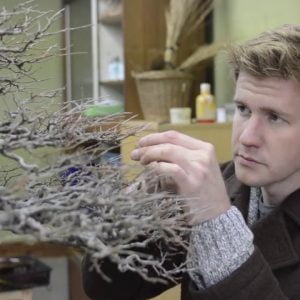 Online Bonsai Course - coming May 2015