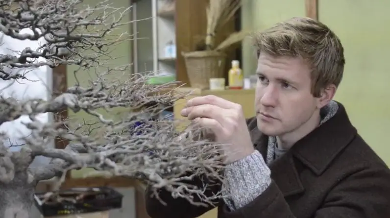 Online Bonsai Course - coming May 2015