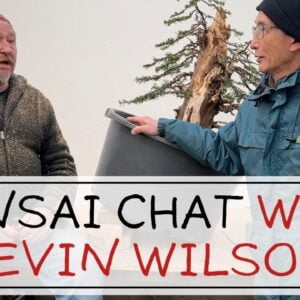 In Conversation with Kevin Wilson about Bonsai