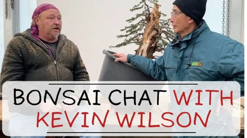 In Conversation with Kevin Wilson about Bonsai