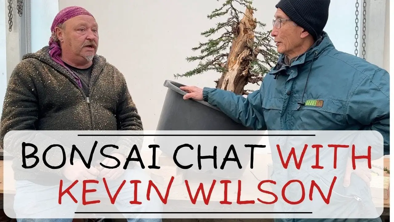 In Conversation with Kevin Wilson about Bonsai