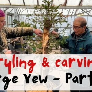 Styling and Carving Yew with Kevin Wilson - Part 2