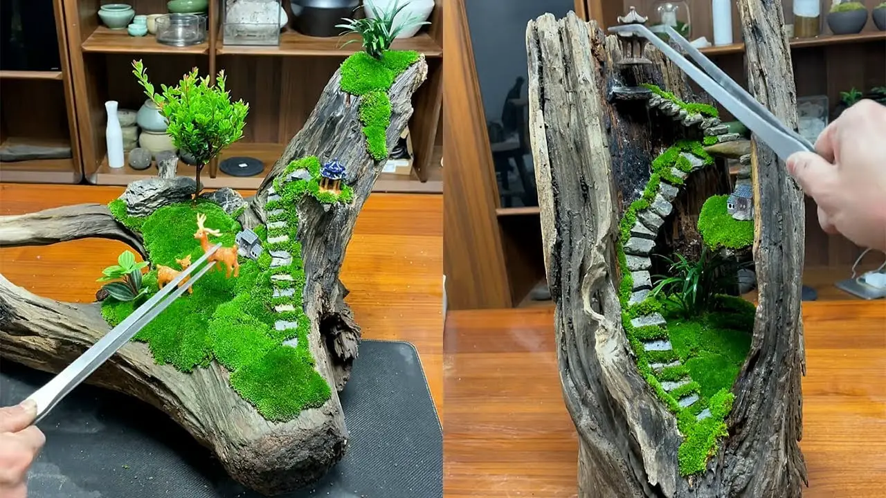 The idea of ​​making a beautiful miniature - love bonsai