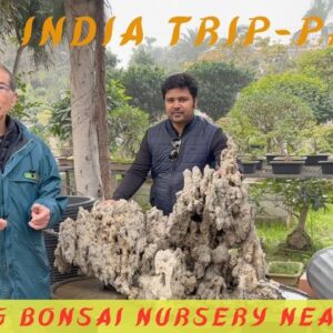 India Trip - Part 4 - Visiting a Bonsai Nursery Near Delhi
