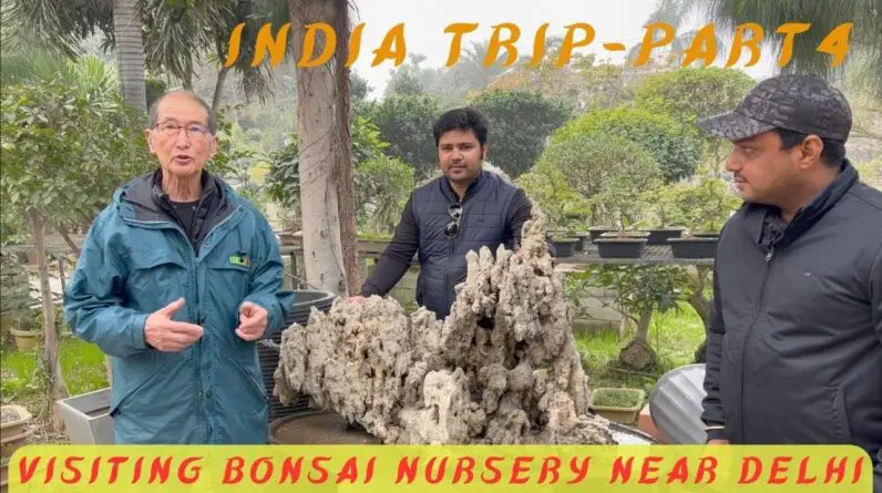 India Trip - Part 4 - Visiting a Bonsai Nursery Near Delhi