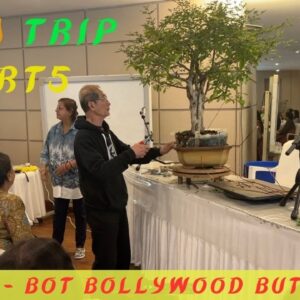 India Trip - Part 5 - Mumbai -Not Bollywood but Bonsai
