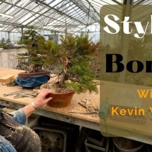 Styling Bonsai with Kevin Wilson - Day 1