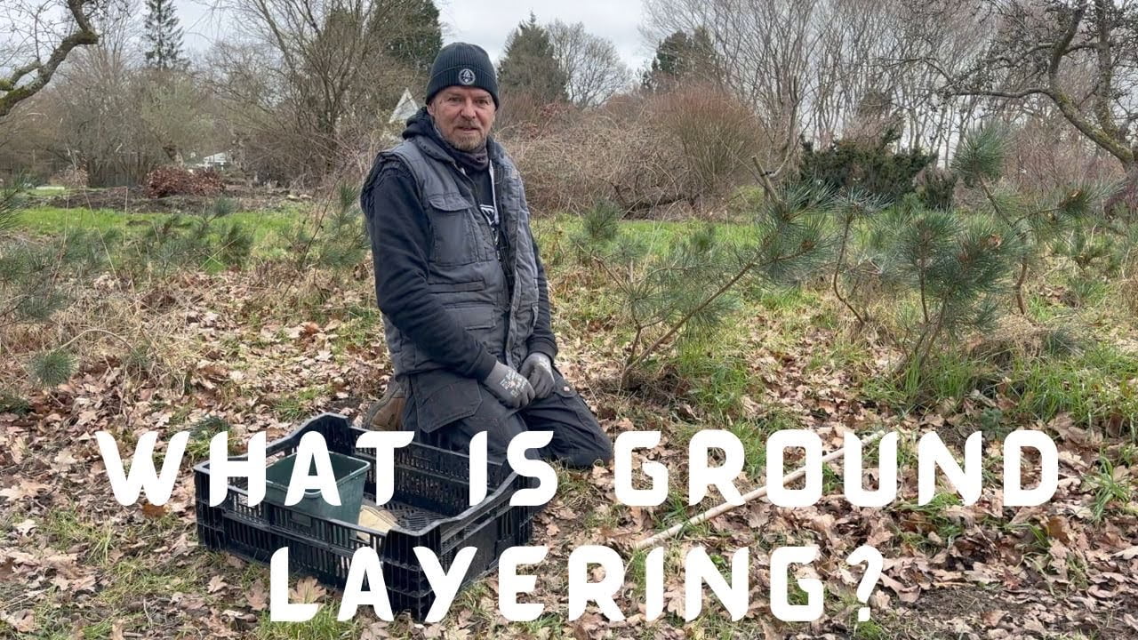 What is Ground Layering?