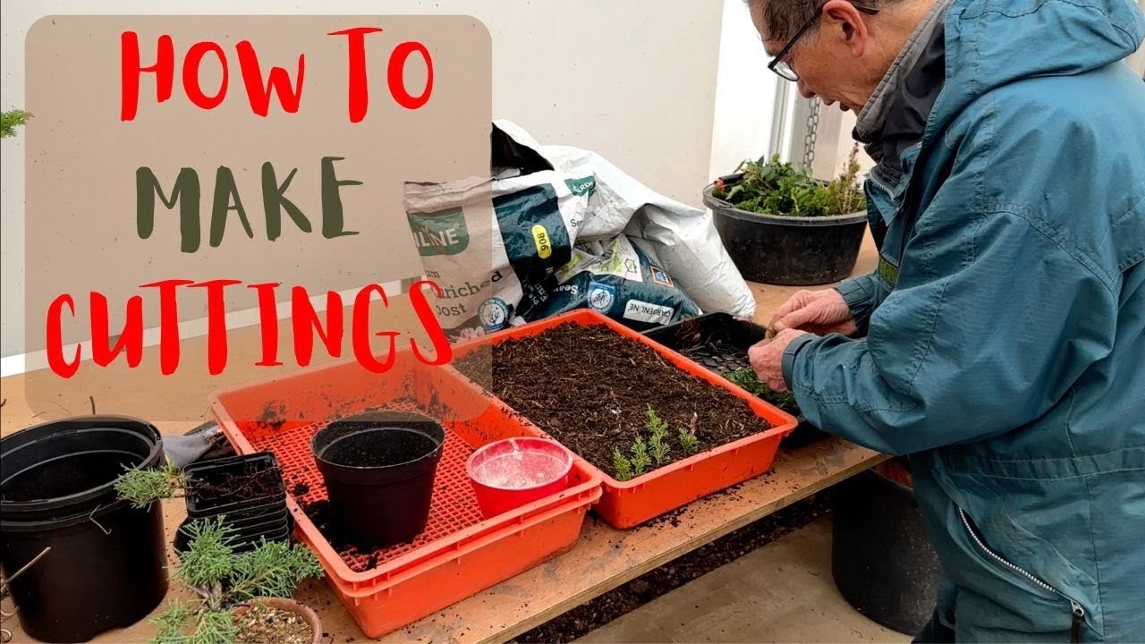 How to Make Cuttings from different varieties