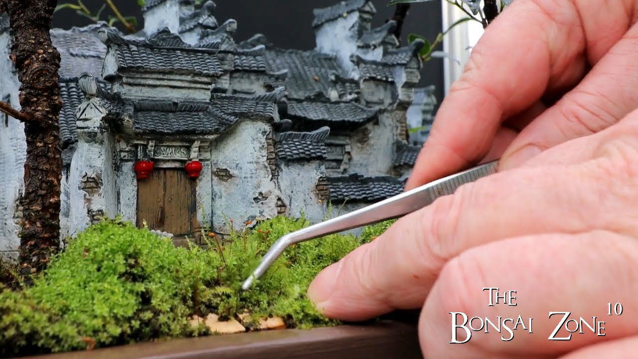 Restoring My Chinese Village Penjing, The Bonsai Zone, April 2023