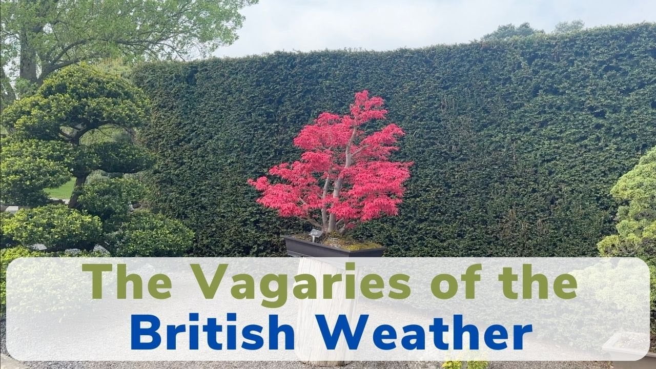 Winter Blues & the Vagaries of British Weather