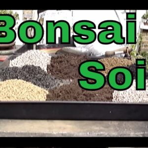 Why AOKI Blend is The Best Bonsai Soil Mix