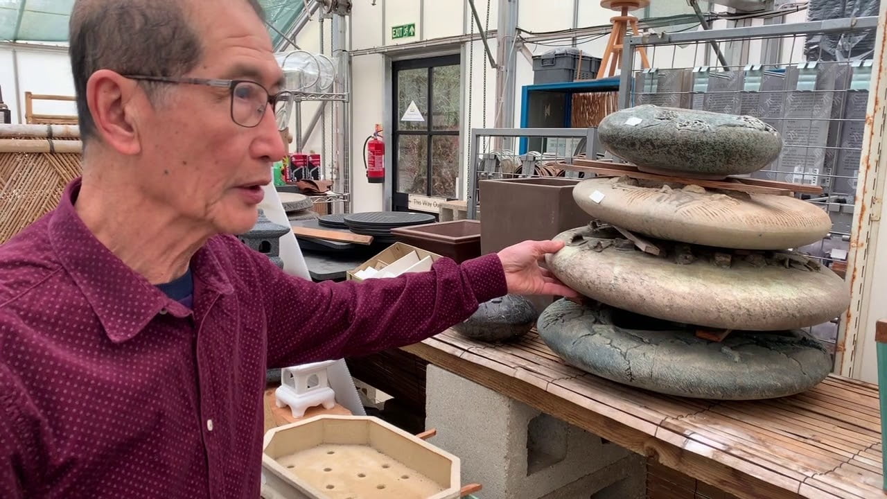 The Cost of Bonsai Pots: Explained