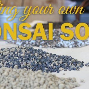 The Ideal Soil for Bonsai Trees: All About Akadama