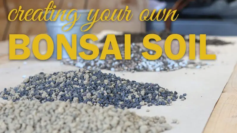 The Ideal Soil for Bonsai Trees: All About Akadama