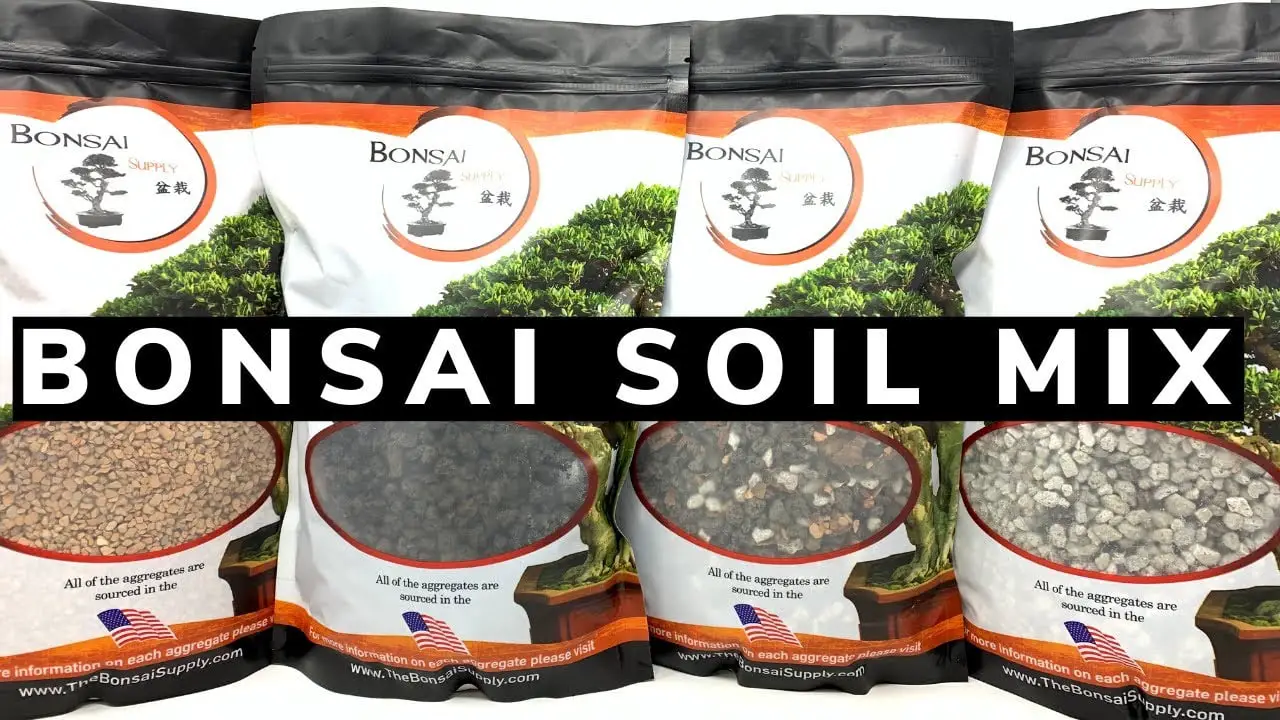 You know that feeling when you finally find the perfect soil for your plants and they thrive like never before? Well, the same principle applies to bonsai trees. Using the right bonsai soil is crucial in nurturing these miniature masterpieces. It not only provides the necessary nutrients but also allows for proper drainage and aeration, ensuring the health and longevity of your bonsai. In this article, we will explore the importance of using the right bonsai soil and how it can make all the difference in the growth and beauty of your bonsai trees. The Importance of Using the Right Bonsai Soil Benefits of Using the Right Bonsai Soil Promotes Healthy Root Growth Using the right bonsai soil can greatly promote healthy root growth in your bonsai trees. The soil provides a suitable environment for the roots to spread and develop. It has the right balance of air, water, and nutrients, allowing the roots to grow vigorously. Healthy root growth is crucial for overall tree health and vitality. Prevents Root Rot One of the biggest advantages of using the right bonsai soil is its ability to prevent root rot. Root rot occurs when the roots are constantly saturated in water, leading to the death of the roots and ultimately the tree. Properly draining bonsai soil ensures that excess water is able to flow out of the pot, preventing the roots from becoming waterlogged and susceptible to rot. Improves Nutrient Absorption The right bonsai soil allows for better nutrient absorption by the roots. When the soil has a suitable structure and composition, it ensures that essential nutrients are readily available for the roots to uptake. This leads to healthier and more vibrant bonsai trees, as they are able to receive the necessary nutrients for growth and development. Enhances Water Drainage Good water drainage is essential for the overall health of bonsai trees. The right bonsai soil provides excellent water drainage, preventing water from pooling in the pot and potentially suffocating the roots. With proper drainage, the roots are able to absorb the necessary water for hydration without being drowned in excess moisture. Maintains Soil pH Maintaining the right soil pH is crucial for the well-being of bonsai trees. Different tree species thrive in different pH ranges, so it is important to use the right bonsai soil that matches the specific needs of your trees. The correct pH level allows for optimal nutrient availability and uptake, ensuring that your trees remain healthy and thrive. Reduces Compaction Using the right bonsai soil helps to reduce compaction in the potting medium. Compacted soil can hinder root growth and lead to poor aeration and water drainage. The ideal bonsai soil consists of particles that allow for adequate space between them, preventing compaction and allowing the roots to grow freely. Provides Adequate Aeration Aeration is crucial for the root health of bonsai trees. The right bonsai soil provides adequate air circulation within the root zone, allowing oxygen to reach the roots. This promotes a healthy root system, as the roots require oxygen for respiration and metabolic processes. Proper aeration also prevents the occurrence of anaerobic conditions that can lead to root rot. Minimizes Soil Erosion Bonsai trees are often displayed outdoors, and soil erosion can become a problem if the right bonsai soil is not used. Poor soil composition and structure can result in the soil being washed away during heavy rains or watering. The right bonsai soil helps to minimize soil erosion, allowing your trees to remain stable and secure in their containers. Supports Overall Tree Health Using the right bonsai soil supports the overall health of your trees. When the roots are provided with the ideal growing environment, they are able to function optimally and support the tree's overall growth and development. Healthy root systems lead to healthy trees, with vibrant foliage and strong branches. Enhances Bonsai Appearance The right bonsai soil contributes to the visual appeal of your bonsai trees. Different bonsai soil types can create different textures and colors, which can add depth and interest to the overall design of your trees. It also helps in achieving the desired look and style for your bonsai, enhancing its overall appearance and aesthetic value. Characteristics of the Right Bonsai Soil Well-Draining The right bonsai soil should be well-draining to ensure that excess water is able to flow out of the pot. It should have a good balance between water retention and drainage, allowing the roots to absorb water without becoming waterlogged. Well-draining soil prevents the risk of root rot and promotes healthy root growth. Water Retention While good drainage is important, the right bonsai soil should also have sufficient water retention capabilities. It should be able to hold onto water long enough for the roots to absorb it, ensuring that the tree remains well-hydrated. The soil should strike a balance between retaining water and preventing waterlogged conditions. Balanced pH Bonsai trees have specific pH requirements, and the right bonsai soil should match those needs. The ideal pH range will vary depending on the tree species, as some prefer acidic soil while others thrive in alkaline conditions. Ensuring a balanced pH in the soil provides optimal nutrient availability for the trees to absorb. Nutrient Availability The right bonsai soil should have good nutrient availability for the roots to uptake. It should contain organic matter and minerals that provide essential nutrients for the trees. A balanced mix of nutrients ensures that your bonsai trees receive the necessary elements for growth and overall health. Particle Size Bonsai soil should have an appropriate particle size to allow for adequate aeration, drainage, and water retention. The particles should not be too fine, as this can lead to compaction and poor drainage. They should also not be too large, as this can impede water retention and nutrient absorption. The particle size should strike a balance to support healthy root growth. Air Circulation Adequate air circulation is essential for the health of bonsai trees. The right bonsai soil should allow for proper airflow within the root zone, providing oxygen for the roots. This promotes healthy respiration and metabolic processes, ensuring the overall well-being of the trees. Different Types of Bonsai Soil Akadama Akadama is a popular bonsai soil component that is derived from a type of clay. It has excellent moisture retention properties and provides good aeration for the roots. Akadama helps create a stable soil structure and is widely used in bonsai cultivation. Pumice Pumice is a lightweight volcanic rock that is commonly used in bonsai soil mixes. It improves drainage and aeration, preventing root rot and promoting healthy root growth. Pumice is also beneficial in preventing soil compaction and erosion. Lava Rock Lava rock, also known as scoria, is another volcanic rock commonly used in bonsai soil mixes. It provides good drainage and aeration while retaining some moisture. Lava rock helps create a stable root environment and is particularly useful for larger bonsai trees. Organic Matter Organic matter, such as compost or well-rotted bark, can be added to bonsai soil mixes to improve its overall structure and nutrient content. Organic matter helps retain moisture, promotes microbial activity in the soil, and enhances nutrient availability for the trees. Peat Moss Peat moss is a type of organic matter that is commonly used in soil mixes for acid-loving trees. It has excellent water retention capabilities and helps create a slightly acidic environment. Peat moss should be used in moderation to avoid excessive water retention. Perlite Perlite is a lightweight volcanic glass that is often incorporated into bonsai soil mixes. It improves drainage and aeration, preventing soil compaction and root rot. Perlite is particularly useful in fast-draining soil mixes. Vermiculite Vermiculite is a mineral that is often used to improve water retention in bonsai soil mixes. It helps retain moisture while still allowing for proper drainage. Vermiculite is beneficial for trees that require higher moisture levels. Factors to Consider when Choosing Bonsai Soil Tree Species Different tree species have different soil requirements. It is important to research and understand the preferred soil type for your specific bonsai trees. Some trees may thrive in well-draining soil, while others may require a soil mix that retains more moisture. Consider the specific needs of your tree species when selecting bonsai soil. Climate and Environmental Conditions The climate and environmental conditions in your area should also be taken into consideration when choosing bonsai soil. If you live in a humid climate, you may need a soil mix that provides better drainage to prevent root rot. Similarly, if you live in a dry climate, you may need a soil mix that retains more moisture. Assess the local conditions to ensure that the bonsai soil is suitable for your trees. Watering and Feeding Regime Your watering and feeding regime will also influence the type of bonsai soil you choose. If you tend to water your trees frequently, a well-draining soil mix may be more suitable. On the other hand, if you prefer to water less frequently, a soil mix with better water retention may be preferred. Consider your watering habits and adjust the soil accordingly. Bonsai Stage of Development The stage of development of your bonsai trees should be considered when selecting bonsai soil. Younger trees may benefit from a soil mix that retains more moisture to support their rapid growth. Mature trees, on the other hand, may require a soil mix that promotes better drainage and aeration. Take into account the specific needs of your trees at each stage of their development. Pot Type and Size The type and size of the pot used for your bonsai trees also play a role in selecting the right bonsai soil. Different pots have different drainage capabilities, and this should be considered when choosing the soil. Additionally, the size of the pot will affect how often you need to water and fertilize your trees, which should be taken into account when selecting the soil mix. The Importance of Using the Right Bonsai Soil How to Determine the Right Bonsai Soil Researching Tree Species Preferred Soil To determine the right bonsai soil for your trees, it is essential to research the preferred soil type for their specific species. Different tree species have different soil requirements, including drainage, water retention, and pH levels. Understanding the specific needs of your tree species will help guide you in choosing the appropriate bonsai soil. Testing Soil Drainage Testing the drainage of the soil can help determine if it is suitable for bonsai cultivation. To test the drainage, thoroughly water the soil and observe how quickly the water flows out of the pot. If it drains too quickly, the soil may be too coarse. If it drains too slowly, the soil may be too fine. The ideal bonsai soil should have a balanced drainage rate. Analyzing Local Climate Analyzing the local climate is crucial in determining the right bonsai soil. Consider the average rainfall, humidity levels, and temperature fluctuations in your area. This will help you choose a soil mix that can withstand the prevailing weather conditions and meet the specific needs of your trees. Considering Watering Habits Consider your watering habits when determining the right bonsai soil. If you tend to water your trees frequently, a soil mix with good drainage capabilities may be more suitable. If you prefer to water less often, a soil mix that retains more moisture may be preferred. Understanding your watering habits will help you select the right soil that aligns with your care routine. Experimenting with Different Soil Mixes Experimenting with different soil mixes is a great way to determine which one works best for your bonsai trees. Start with a basic mix and gradually modify the composition to observe how it affects the growth and health of your trees. Keep track of the changes and adjust as needed until you find the perfect soil mix that meets your trees' specific needs. Steps to Prepare Bonsai Soil Gather Necessary Materials To prepare bonsai soil, gather the necessary materials including the selected soil components, containers, and tools. The specific components will depend on the soil mix you have chosen for your trees. Make sure to have everything ready before proceeding to the next steps. Sanitize Containers and Tools Before mixing the soil components, it is important to sanitize the containers and tools to ensure cleanliness. Clean containers and tools help prevent the introduction of pathogens and other contaminants that could harm your trees. Use a mild bleach solution or a sanitizing solution specifically designed for horticultural use. Measure and Mix the Soil Components Measure the desired amounts of each soil component according to your chosen soil mix recipe. Combine the components in a clean mixing container and thoroughly mix them together. It is important to achieve a homogenous mix that contains a balanced composition of each component. Sieve the Soil Mix Sieve the soil mix to remove any large particles or debris that could hinder proper drainage or aeration. This step ensures a finer and more uniform texture, allowing for better root growth and overall soil performance. Use a mesh sieve with an appropriate aperture size. Store the Prepared Soil Mix After preparing the bonsai soil, store it in clean, airtight containers until it is ready to be used. This will help prevent contamination and maintain the soil's quality. Store the soil mix in a cool and dry place to ensure its longevity and usability in the future. The Importance of Using the Right Bonsai Soil Tips for Using the Right Bonsai Soil Ensure Proper Potting Technique When using the right bonsai soil, it is important to ensure proper potting technique. Make sure the roots are evenly spread out in the pot and that there are no air pockets around the root ball. Gently firm the soil around the roots to provide stability and support for the tree. Avoid Overwatering Overwatering is a common mistake that can lead to root rot and other issues. Use the right bonsai soil that provides good drainage, and water your trees only when the soil is slightly dry. Avoid saturating the soil and allow excess water to drain out of the pot. Monitor Soil Moisture Regularly monitor the moisture levels of the bonsai soil to ensure it is neither too dry nor too wet. Stick your finger about an inch into the soil to check for moisture. If it feels dry at that depth, it is time to water. If it feels moist, hold off on watering until it dries out slightly. Use Organic Fertilizers To enhance the health of your bonsai trees, use organic fertilizers that will gradually release nutrients into the soil. Organic fertilizers promote long-term soil health by improving its nutrient content and microbial activity. They are gentle on the roots and provide a slow and steady release of essential nutrients. Repot at the Right Time Regular repotting is essential for maintaining the health of your bonsai trees. Repotting allows you to refresh the soil and provide better growing conditions for the roots. Repot your bonsai trees at the appropriate time based on their specific species and growth cycle. This will ensure that they have a healthy and fertile environment for continued growth. Common Mistakes to Avoid with Bonsai Soil Using Regular Potting Soil Using regular potting soil for bonsai trees is a common mistake that should be avoided. Regular potting soil does not provide the necessary drainage, aeration, or nutrient availability that bonsai trees require. It can lead to waterlogged soil, compaction, poor root growth, and overall tree decline. Always opt for the right bonsai soil mix. Overcompacting the Soil Overcompacting the soil can lead to poor aeration, drainage, and root growth. Avoid pressing the soil down too firmly, as this can result in compaction that hinders root development. Gently firm the soil around the roots to provide stability without excessive compaction. Using Oversized Soil Particles Using oversized soil particles can impede drainage and aeration in the bonsai soil. Large particles can create gaps and hinder the flow of water and air within the soil. Use soil components with appropriate particle size to ensure optimal root health and performance. Ignoring Soil pH Ignoring the soil pH can have detrimental effects on your bonsai trees. Different tree species have specific pH requirements, and ignoring these can result in nutrient deficiencies and poor overall health. Monitor and adjust the soil pH accordingly to match the needs of your trees. Infrequent Repotting Infrequent repotting can lead to root binding and poor soil conditions. Bonsai trees should be repotted every 1 to 3 years depending on their growth rate and pot size. Repotting helps refresh the soil, remove old and decaying roots, and promote healthy root growth. Do not neglect regular repotting to ensure the longevity and vitality of your trees. The Importance of Using the Right Bonsai Soil Signs of Poor Bonsai Soil Slow Growth If your bonsai trees are showing slow or stunted growth, it may indicate poor soil conditions. Inadequate drainage, nutrient deficiency, or compacted soil can hinder root development and overall growth. Assess the soil conditions and adjust as needed to promote healthier and faster growth. Yellowing Leaves Yellowing leaves can be a sign of nutrient deficiency or improper soil conditions. If the bonsai soil does not provide adequate nutrient availability or the pH is unbalanced, the tree may not be able to absorb the necessary nutrients for healthy foliage. Address any soil issues to prevent nutrient deficiencies and yellowing leaves. Root Rot Root rot is a common problem caused by poor soil drainage. If the bonsai soil retains too much moisture, it can lead to root rot and decay. Signs of root rot include discolored and mushy roots. If root rot is detected, repot the tree into fresh, well-draining soil to prevent further damage. Compacted Soil Compacted soil can hinder root growth and development. If the soil becomes compacted, it may prevent the roots from receiving adequate air, water, and nutrients. Bonsai trees may exhibit a slower growth rate, wilting, or overall decline in health. Address compacted soil by repotting into a well-draining soil mix. Waterlogged Soil Waterlogged soil is a result of poor drainage and can lead to root suffocation and rot. If water pools in the pot and does not drain properly, it can drown the roots and harm the bonsai tree. Waterlogged soil may have a foul odor or appear excessively wet. Improved drainage is necessary to alleviate this issue. Conclusion Using the right bonsai soil is essential for the health and vitality of your trees. It promotes healthy root growth, prevents root rot, improves nutrient absorption, enhances water drainage, maintains soil pH, reduces compaction, provides adequate aeration, minimizes soil erosion, supports overall tree health, and enhances bonsai appearance. Consider the characteristics of the right bonsai soil, different types of bonsai soil, factors to consider when choosing bonsai soil, and methods to determine the right bonsai soil. Follow the steps to prepare bonsai soil, and keep in mind the tips and common mistakes to avoid. Regularly monitor the signs of poor bonsai soil and make adjustments as needed to ensure the optimal growing conditions for your bonsai trees. With the right bonsai soil, your trees will thrive and bring beauty to your environment for years to come. The Importance of Using the Right Bonsai Soil