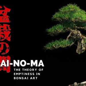 BONSAI-NO-MA | The Theory of Emptiness in Bonsai Art, Part One