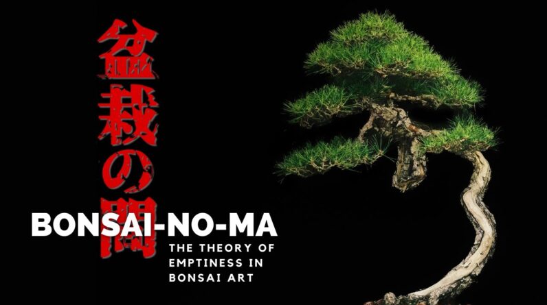 BONSAI-NO-MA | The Theory of Emptiness in Bonsai Art, Part One