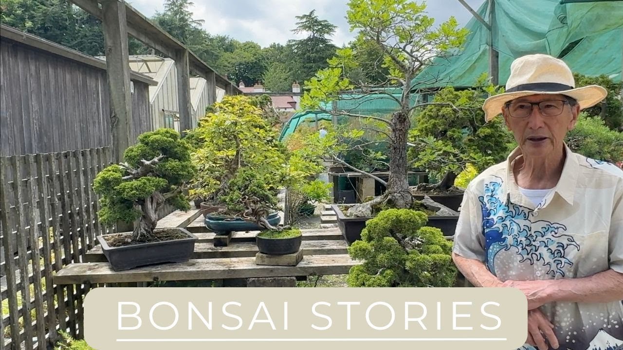 Bonsai Stories - Theft & What You Can Do To Minimise Risk