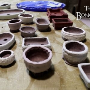 Glazing My Bonsai Pots, The Bonsai Zone, July 2024