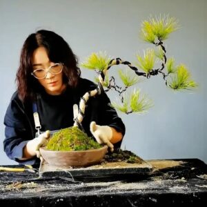 How to bend a bonsai - great bonsai bending skills #224